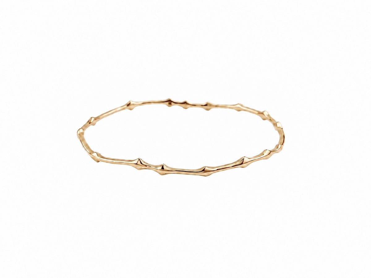 Rani Thorn Bangle