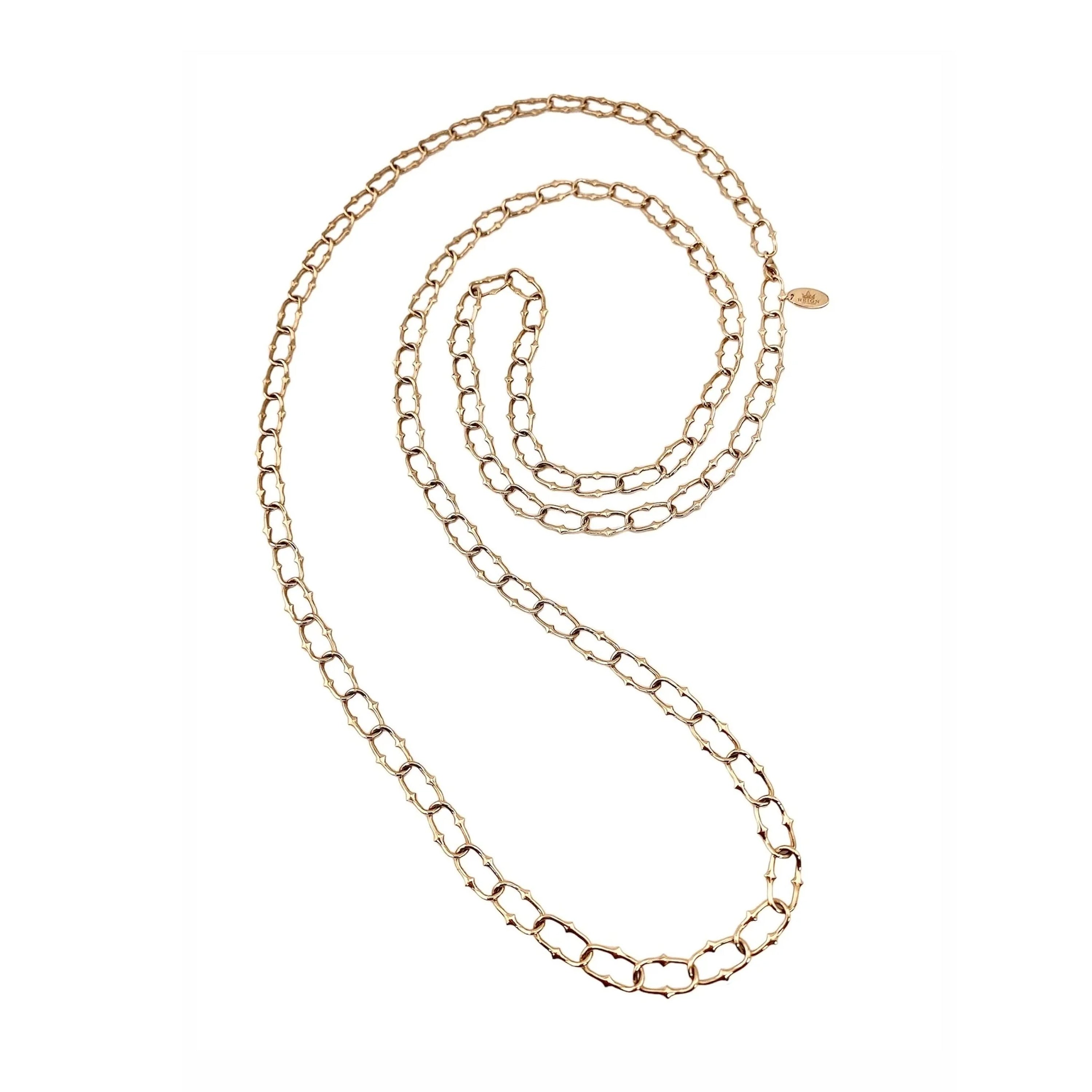 Rani Thorn Link Long Necklace